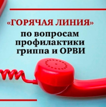 ВНИМАНИЕ!  «Горячая» линия +7 (978) 919-11-23 